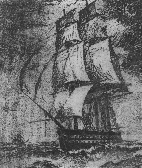 Lefort (1835) – null